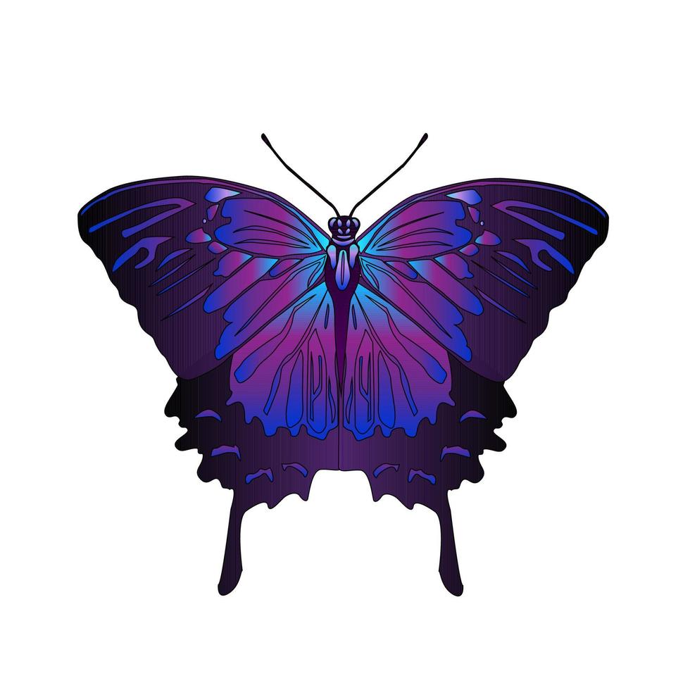 Purple tropical butterfly. vector