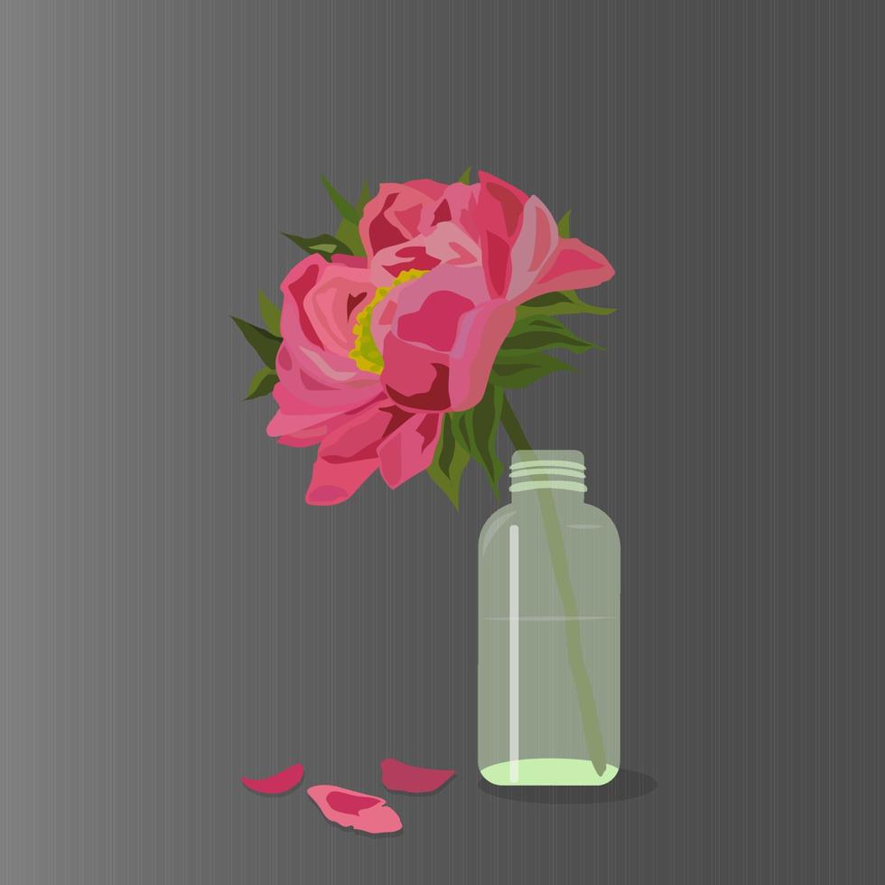 peonía rosa en una botella de vidrio. vector