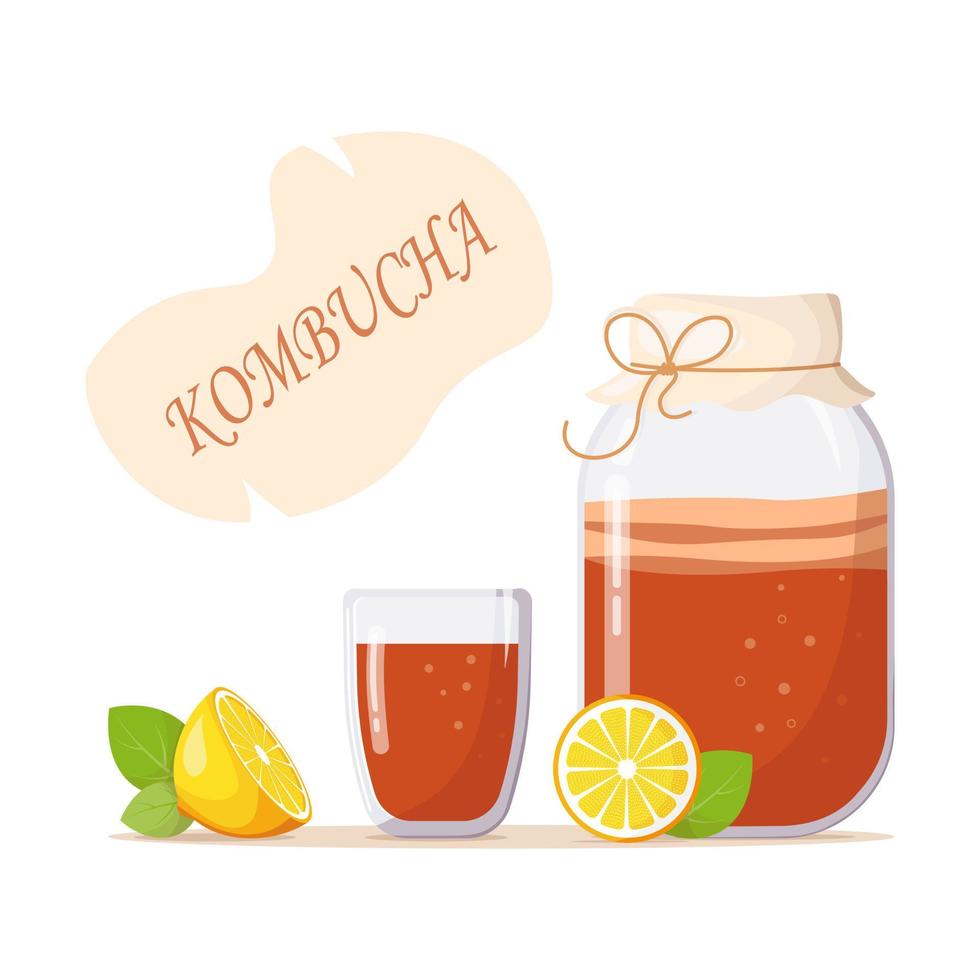 Glass jar with drink of kombucha, glass of tea, lemon, mint leaves. Inscription Kombucha. Summer refreshing drink with fruit. Fermented probiotic tea mushroom vector