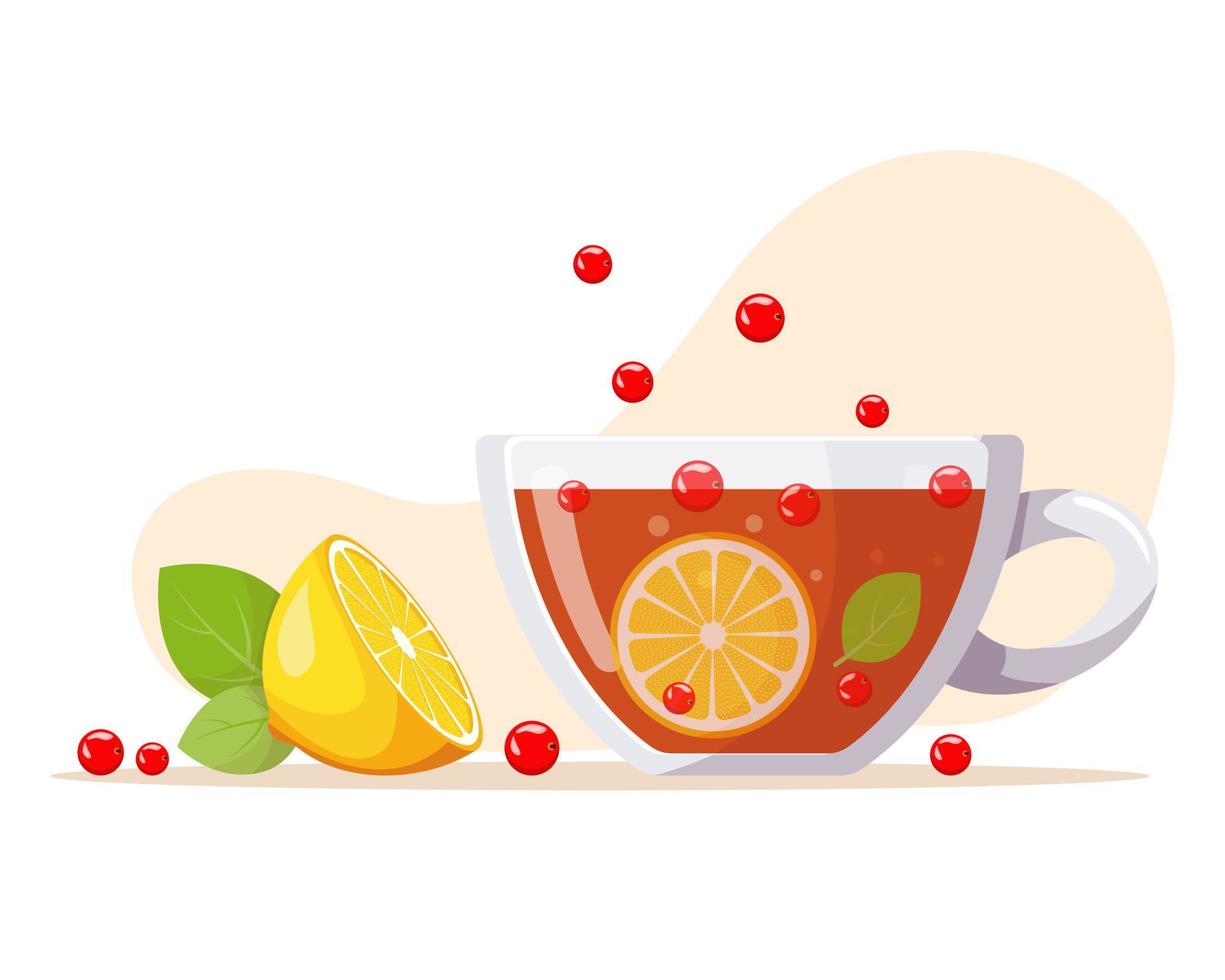 Aromatic tea in glass cup with berries, lemon, mint leaves. Summer refreshing drink with fruit. Fermented probiotic kombucha tea. Healthy eating vector