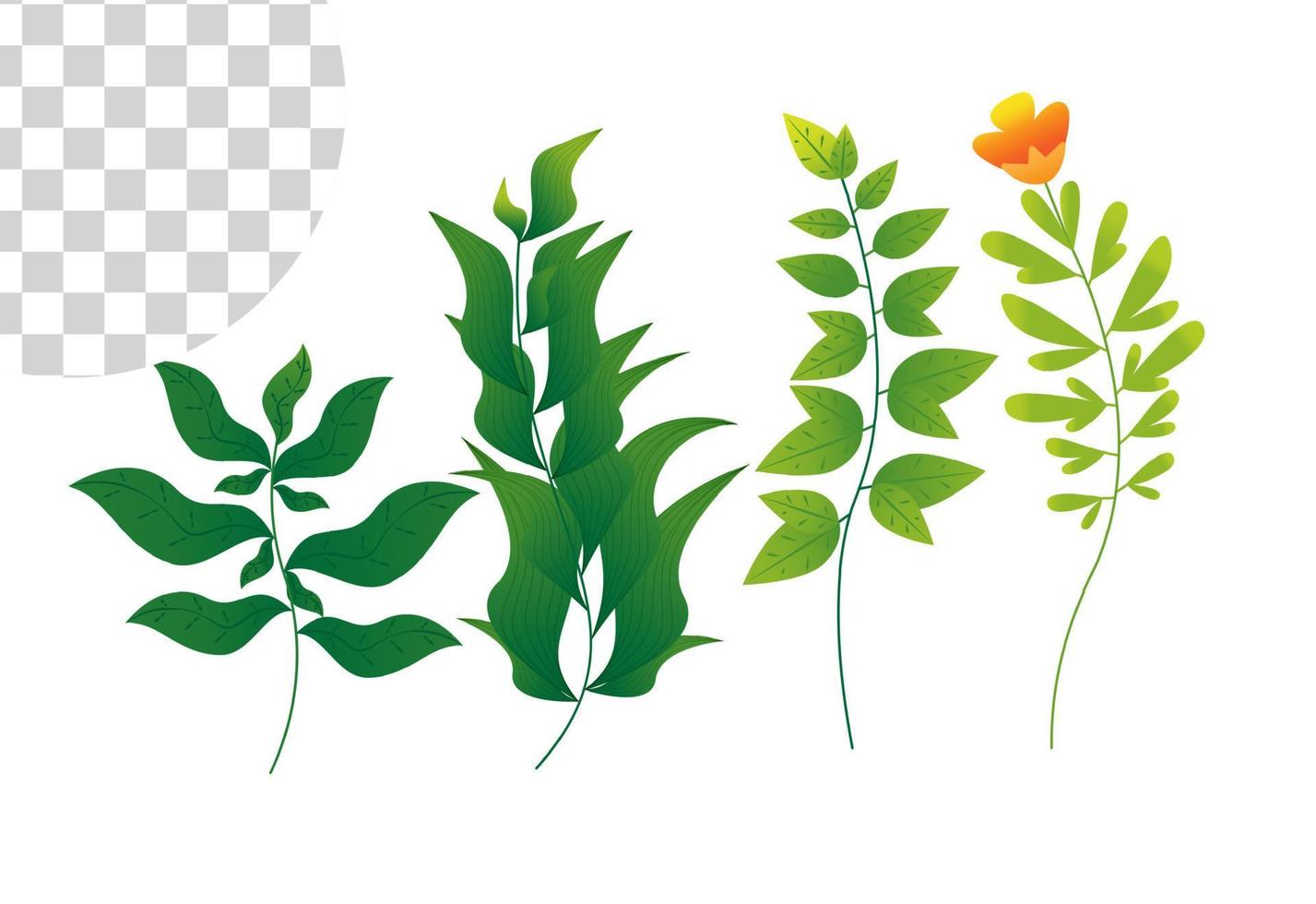 flowers collection isolated on white background. Set of spring flowers vector