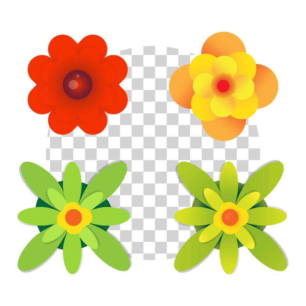 flowers collection isolated on white background. Set of spring flowers vector