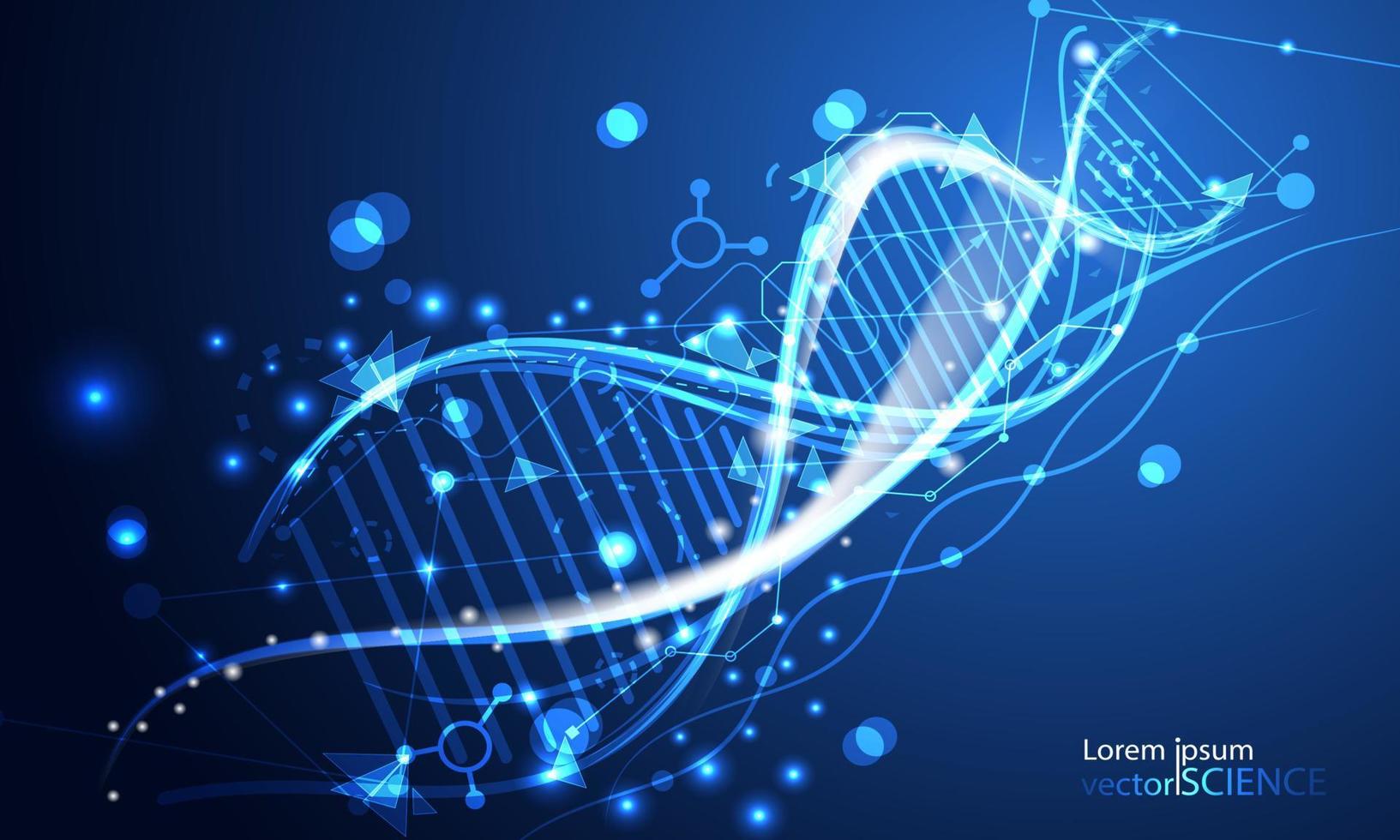 abstract technology science concept DNA futuristic on hi tech blue background vector