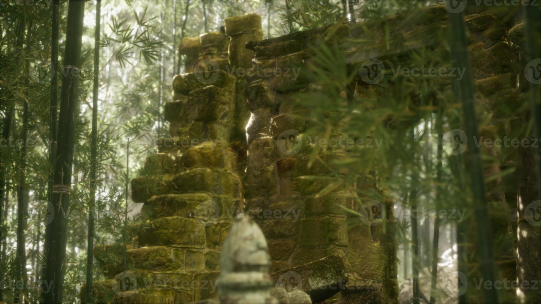 The Ruins of ancient buildings in green bamboo forest photo