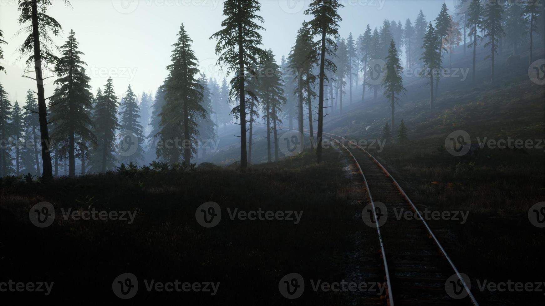 National Forest Recreation Area and the fog with railway photo