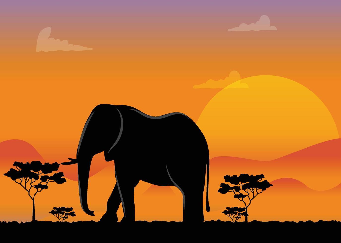 Sunset silhouetting an Elephant vector