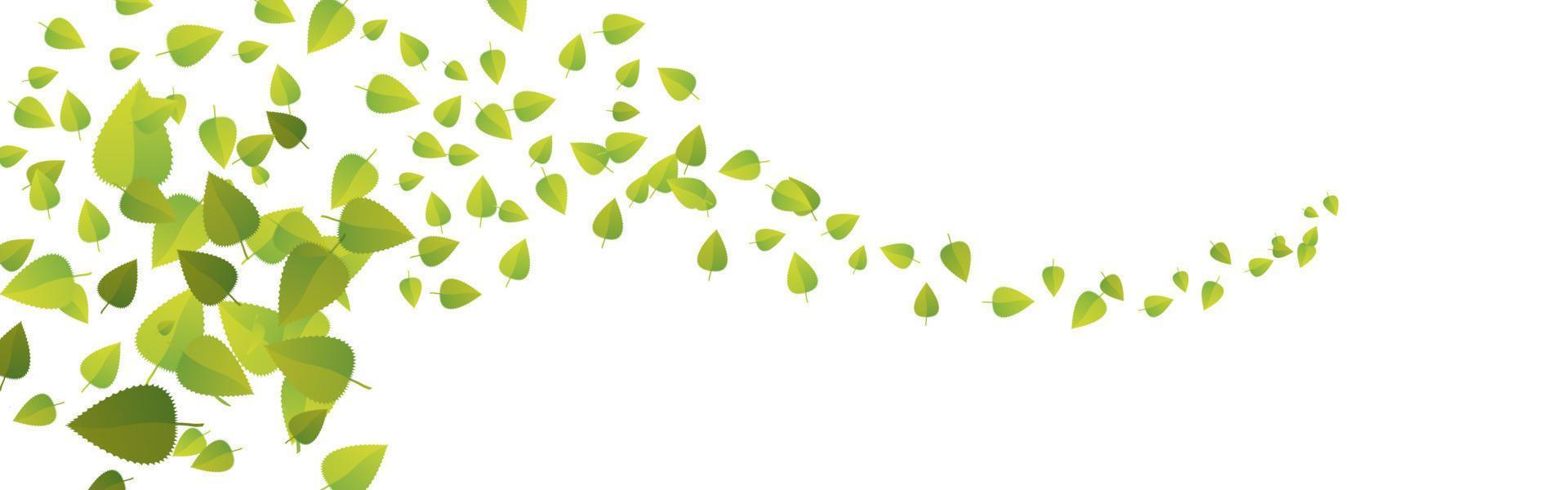 Green flying leaves on long white banner. Leaf falling. Wave foliage ornament. Ecology, eco, organic design element. Cosmetic pattern border. Fresh tea background. Beauty product. Vector illustration