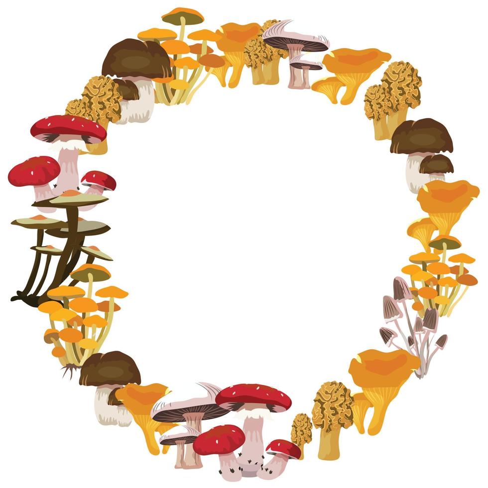 Hand drawn edible mushrooms collection vector