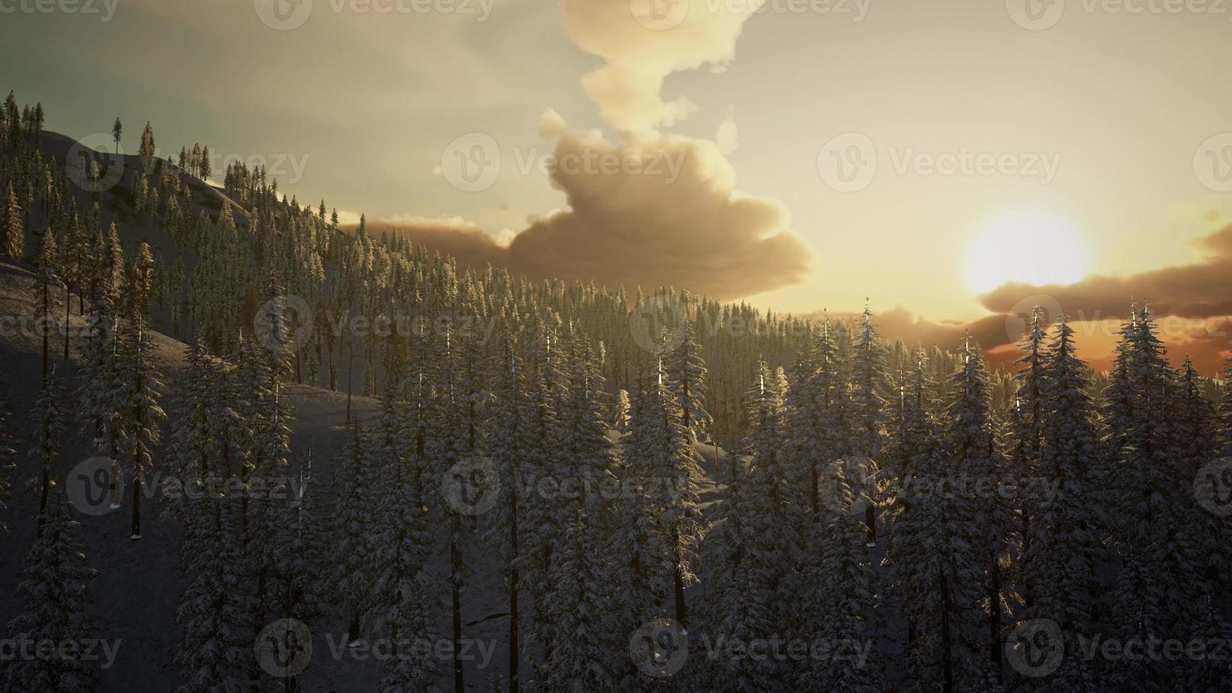 fantastic evening winter landscape. dramatic overcast sky photo