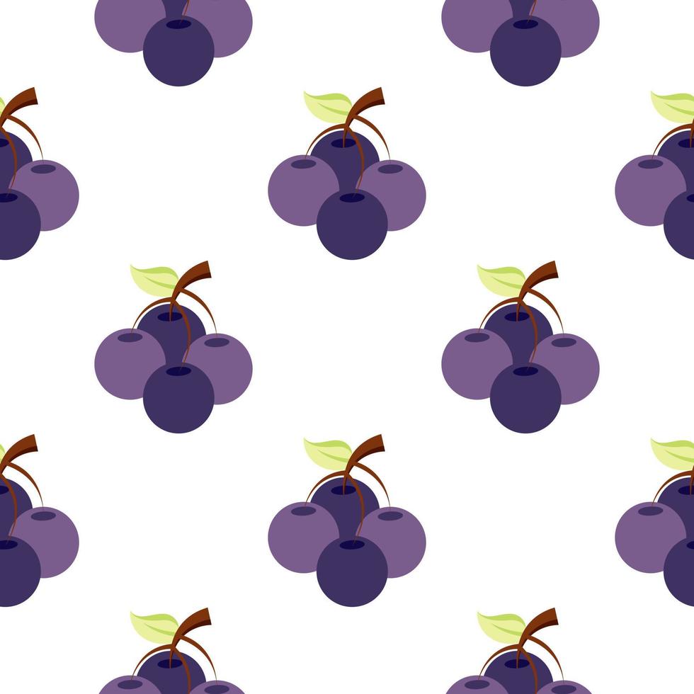 blueberry fruit seamless pattern vector