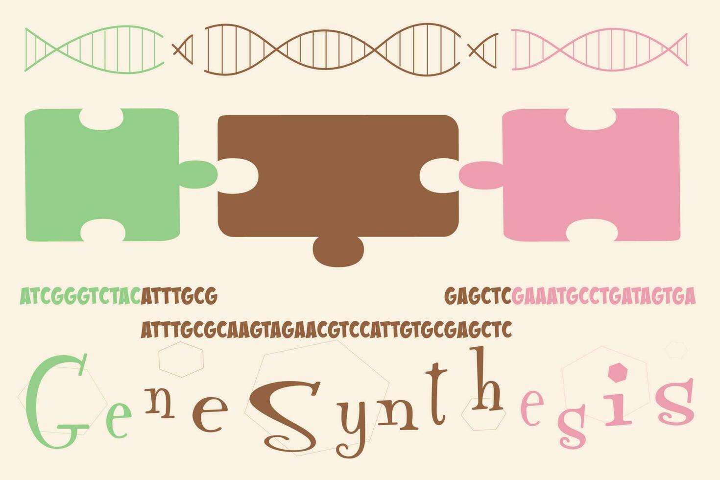 Diagram about how synthetic DNA genes are designed and constructed vector