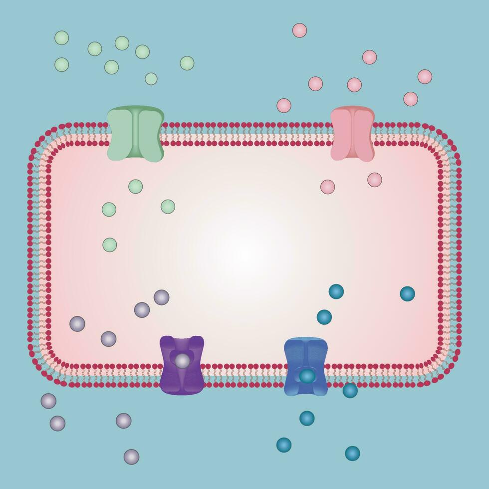 Transport bi-lipid membrane proteins left blank for presentation vector