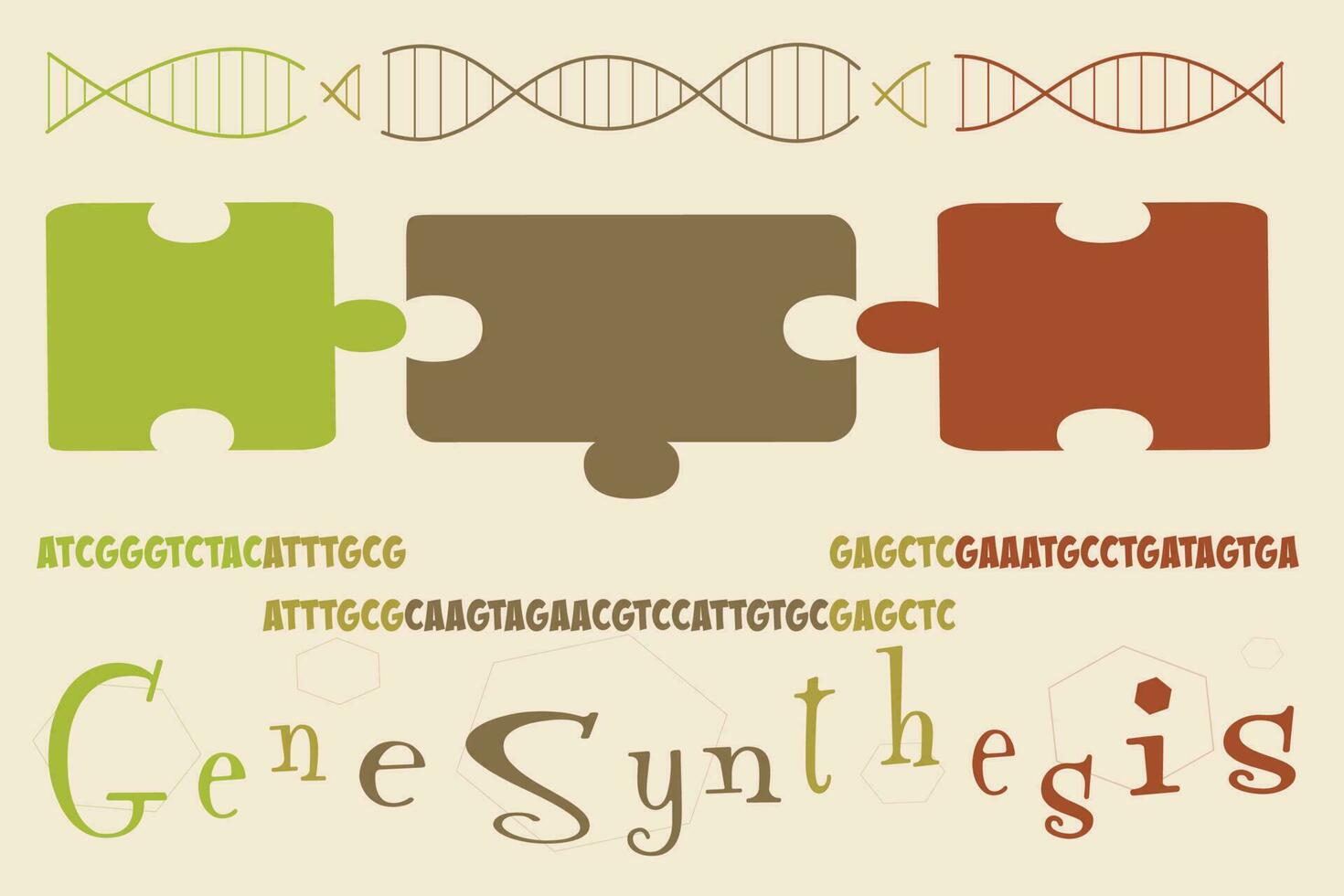 diagrama sobre cómo se diseñan y construyen los genes de ADN sintético vector