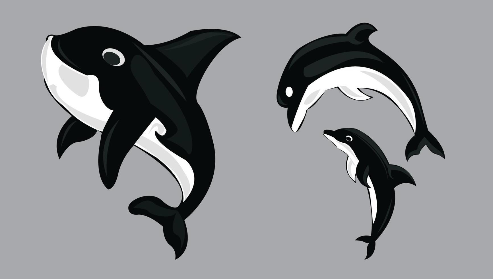 BLACK WHITE Dolphin Fish vector