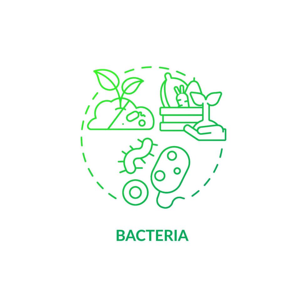 icono de concepto de gradiente verde de bacterias. microbiología agrícola idea abstracta ilustración de línea delgada. resistencia a las enfermedades de las plantas. dibujo de contorno aislado. roboto-medium, innumerables fuentes pro-bold utilizadas vector