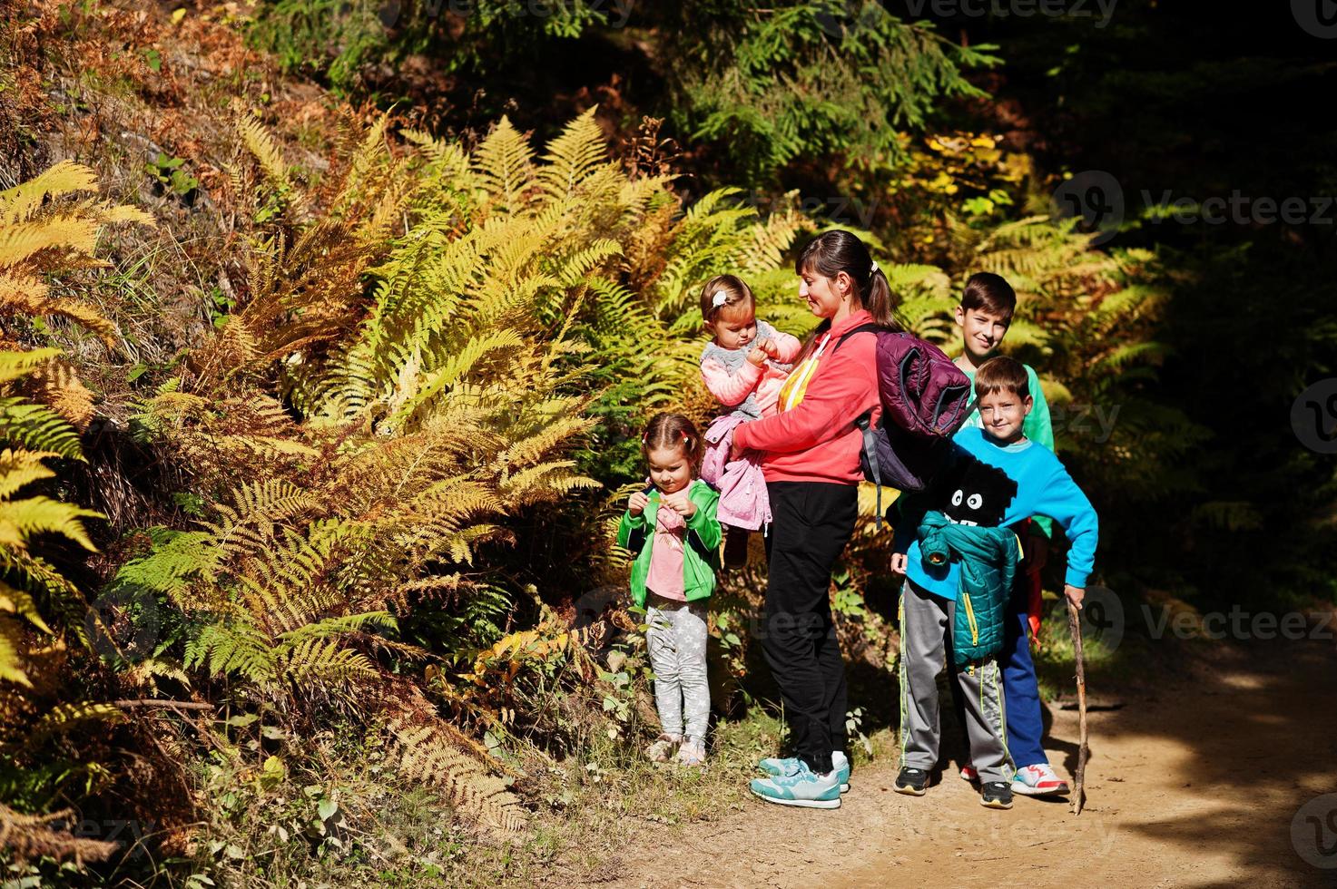 Mother with four kids in mountains forest near the fern. Family travel and hiking with childrens. photo