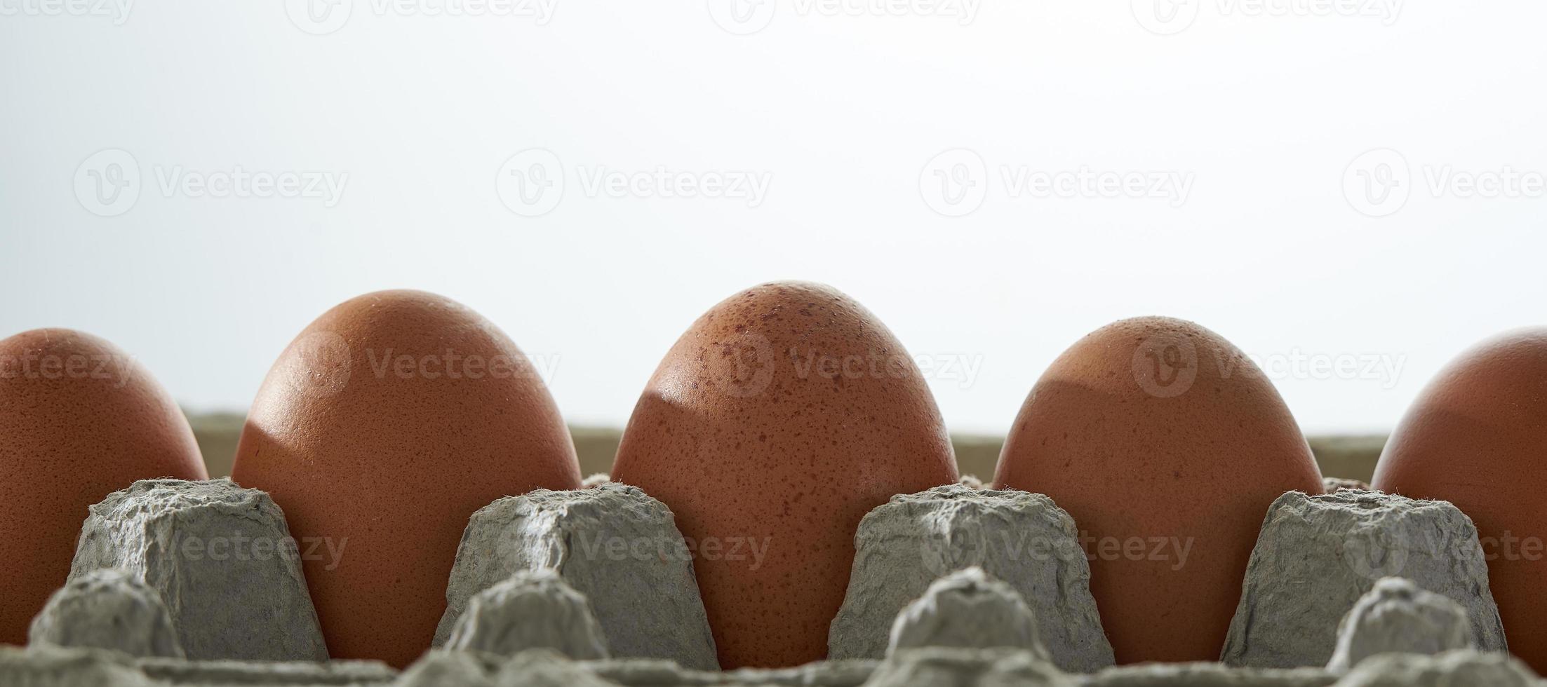 Eggs close up in egg protective container on white background. photo