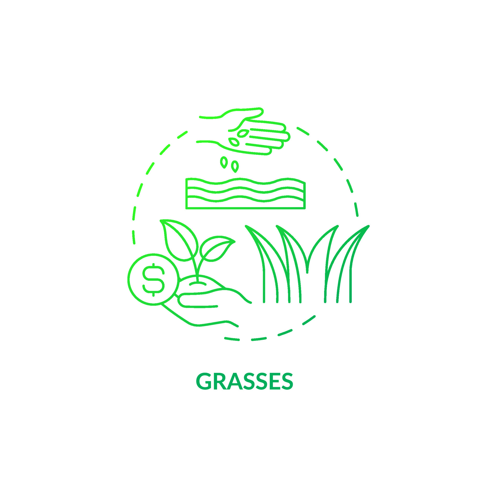 Grasses green gradient concept icon. Growing switchgrass abstract idea