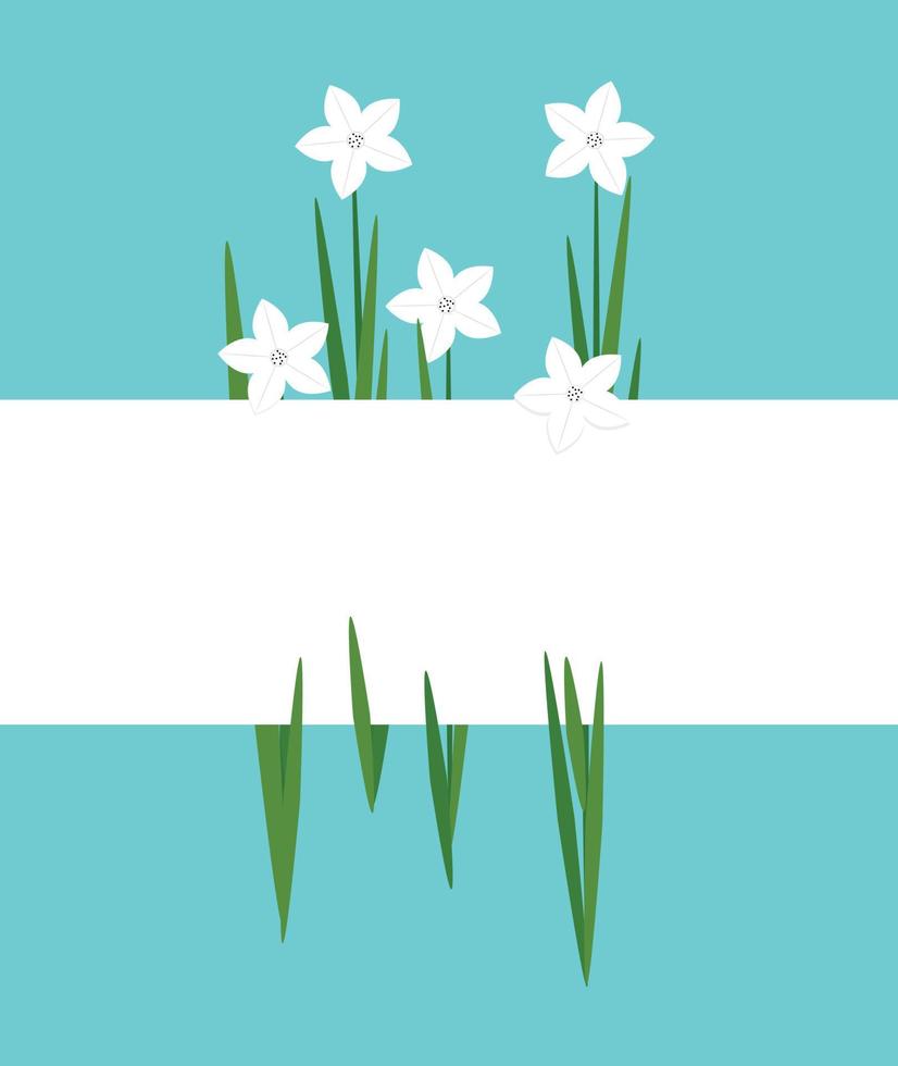 Background with spring flowers. Daffodils. vector illustration