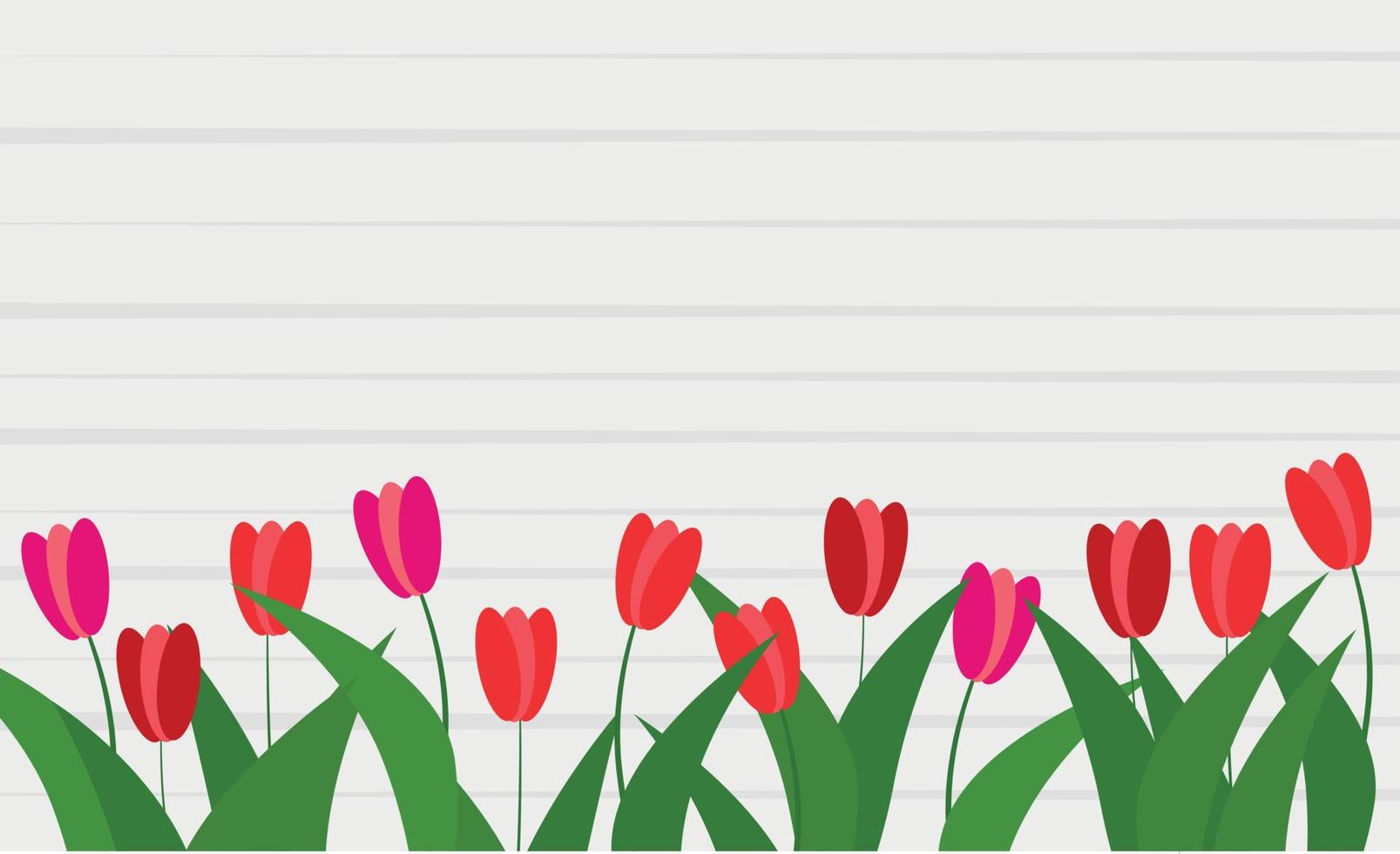 Red tulips lie on the table vector