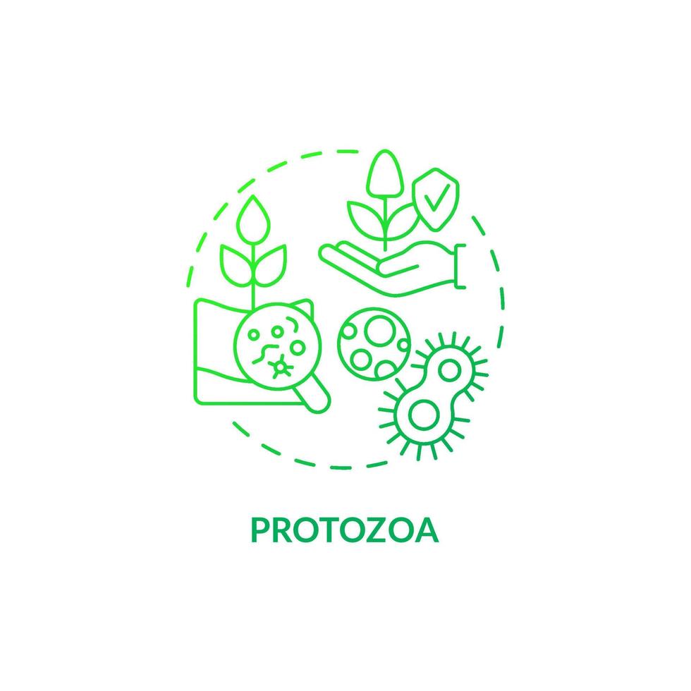 Protozoa green gradient concept icon. Agricultural microbiology abstract idea thin line illustration. Regulate bacterial population. Isolated outline drawing. Roboto-Medium, Myriad Pro-Bold fonts used vector