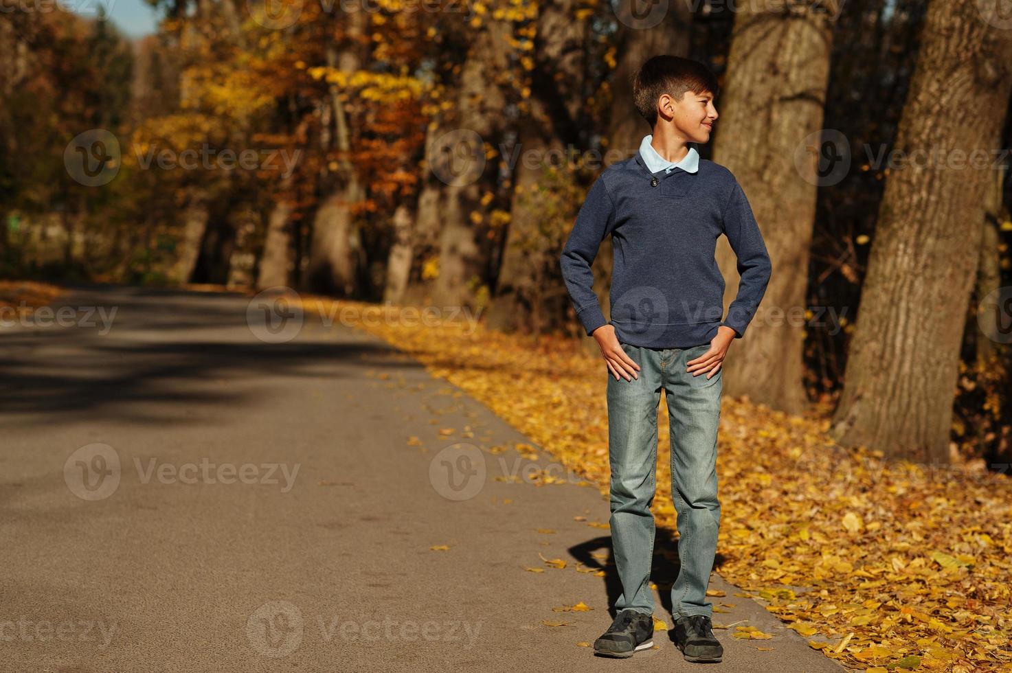 Young teen boy wear polo shirt, blue sweater and jeans pose in autumn background. photo