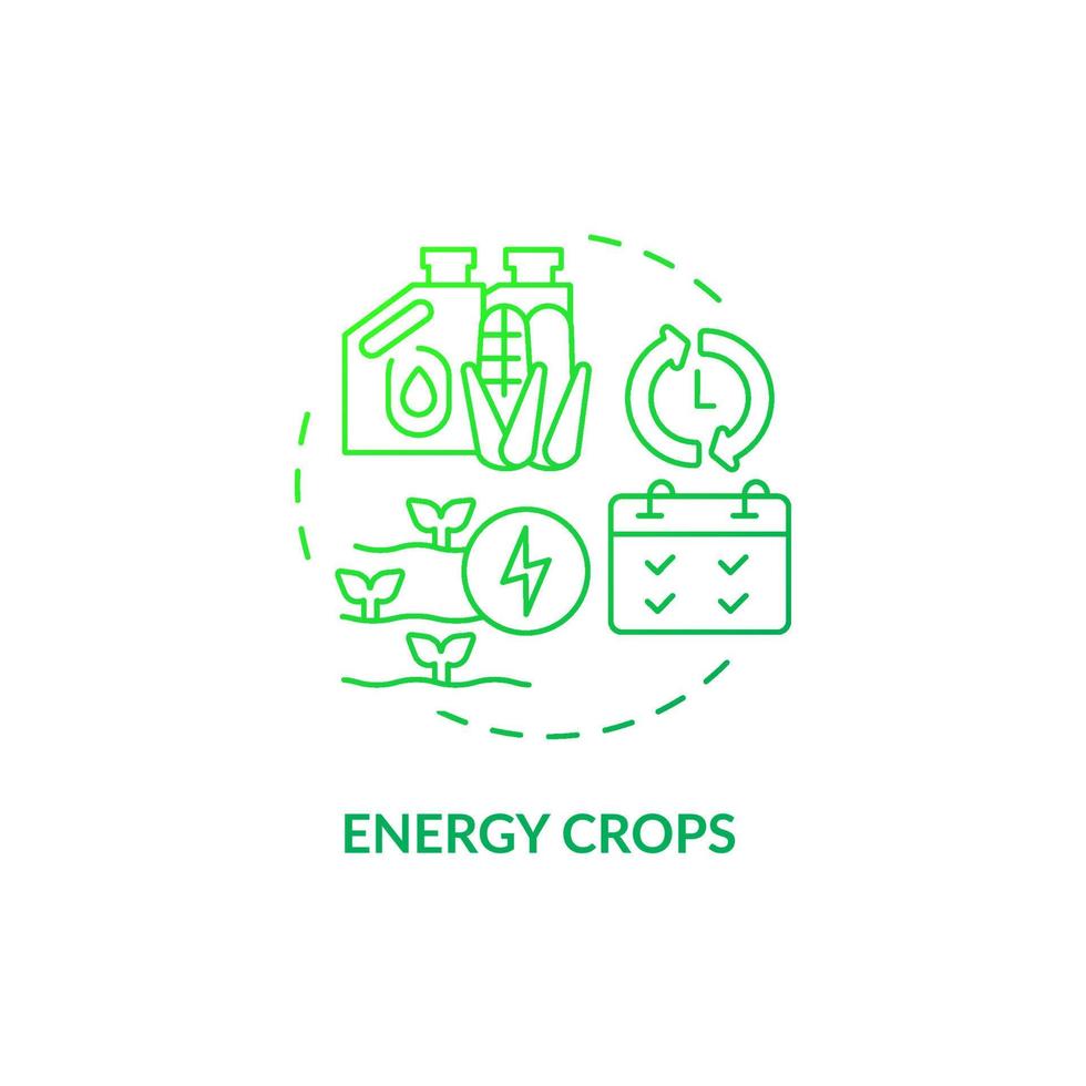Energy crops green gradient concept icon. Producing bioenergy abstract idea thin line illustration. Converting into electricity. Isolated outline drawing. Roboto-Medium, Myriad Pro-Bold fonts used vector