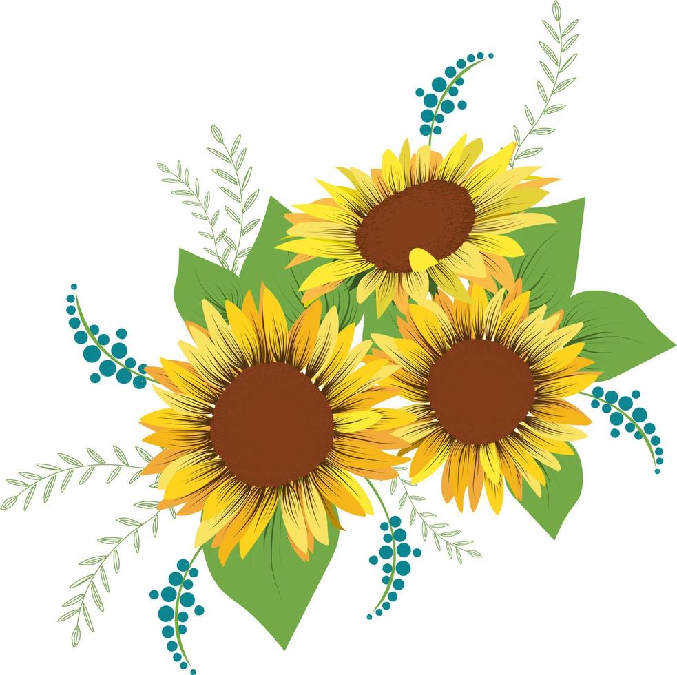 tres girasoles y hojas sobre fondo blanco. vector