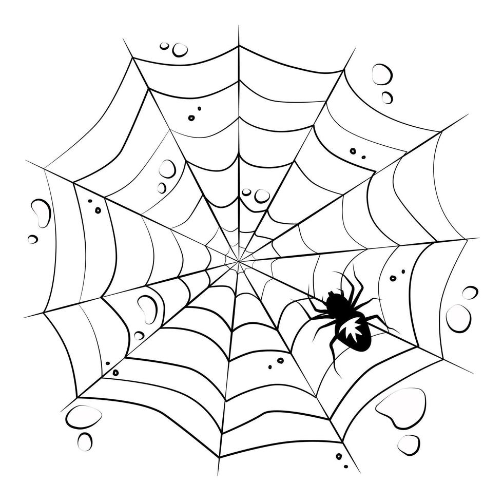 Web with a spider on a white isolated background. Halloween Design Elements. Creepy, scary. Vector. vector