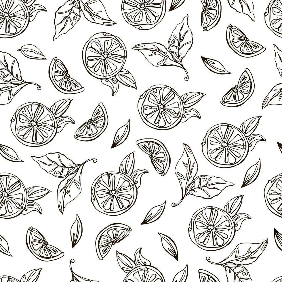 Half lemon seamless pattern on white background. Hand drawn. Vector. vector