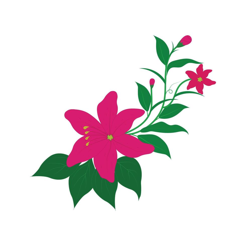 Estrella de navidad rosa flores poinsettia con cinta dorada aislado sobre fondo blanco - eps10 ilustración vectorial vector