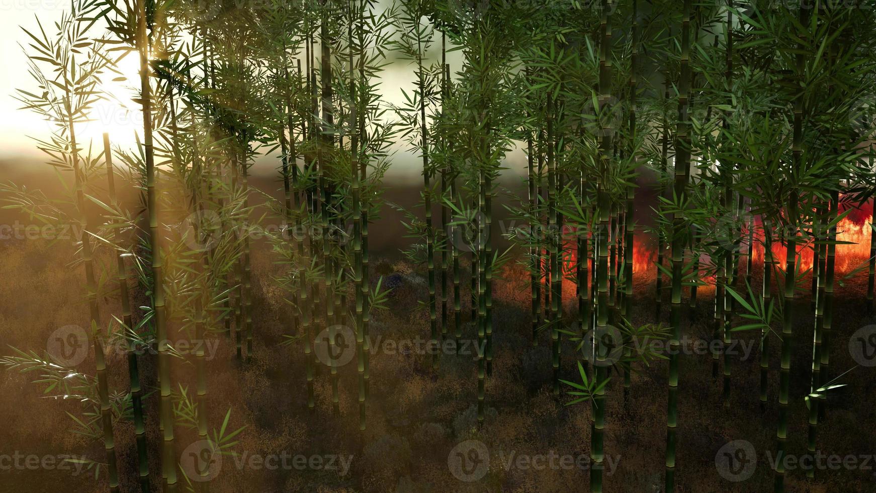 Wind blowing on a flaming bamboo trees during a forest fire photo