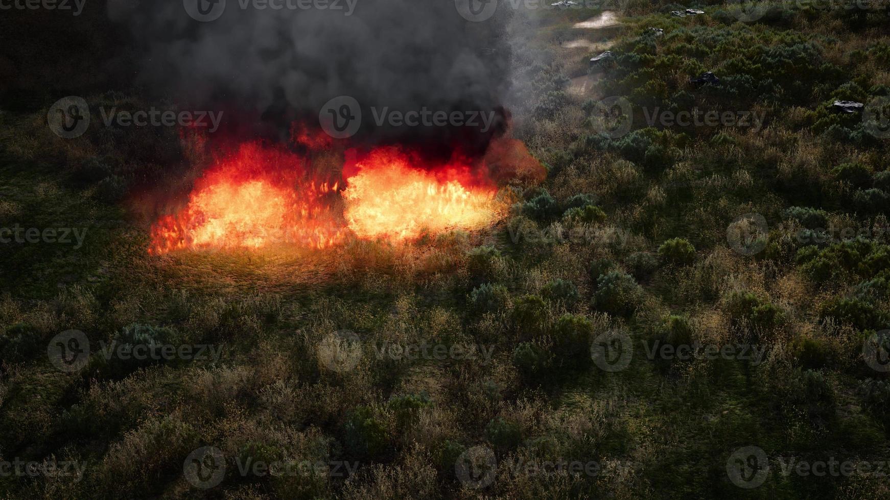 red fire in dry herb photo