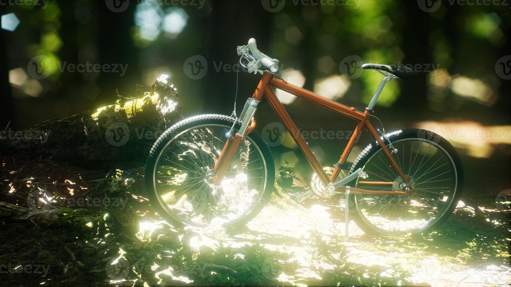 bicicleta de montaña en el camino del bosque foto