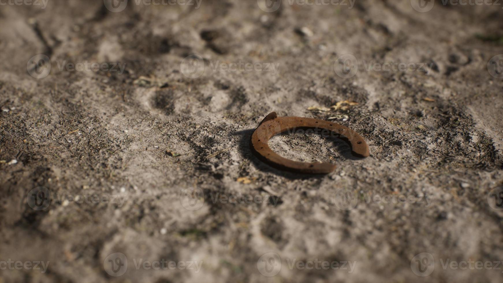 one old rusty metal horseshoe photo