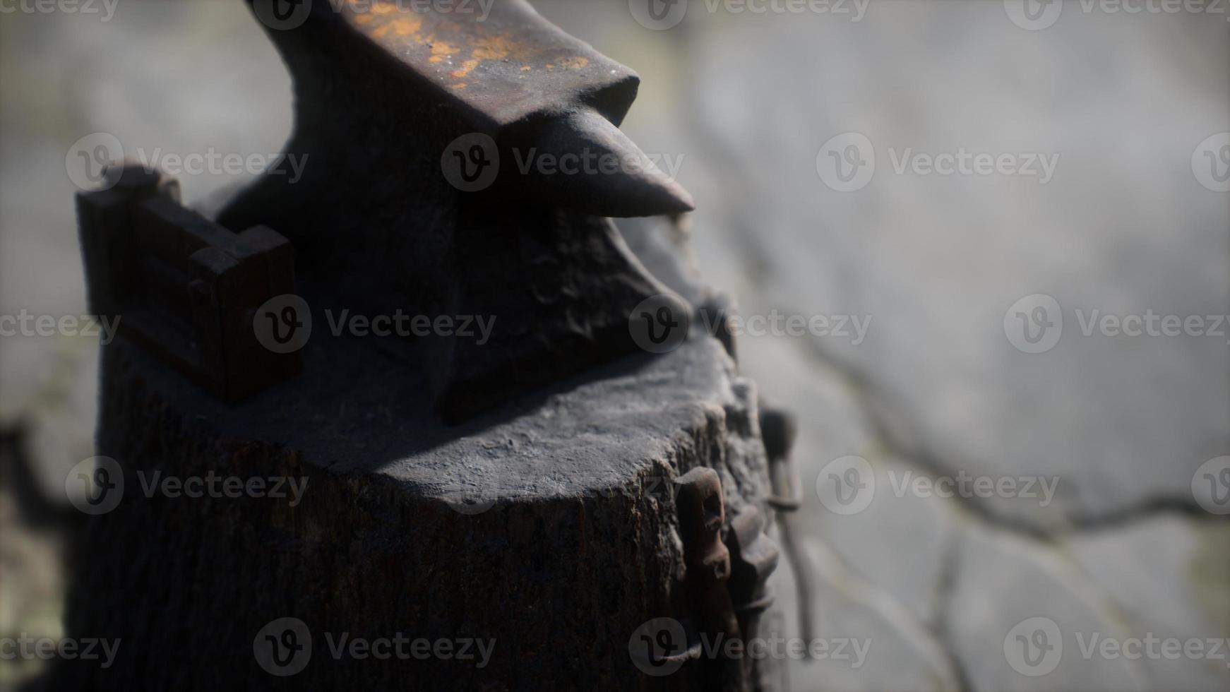 Old anvil attached to a stump photo
