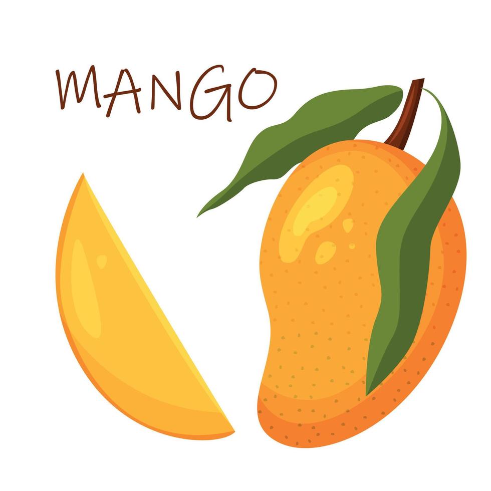 A bright colorful composition with juicy mango. Exotic fruits. Vector