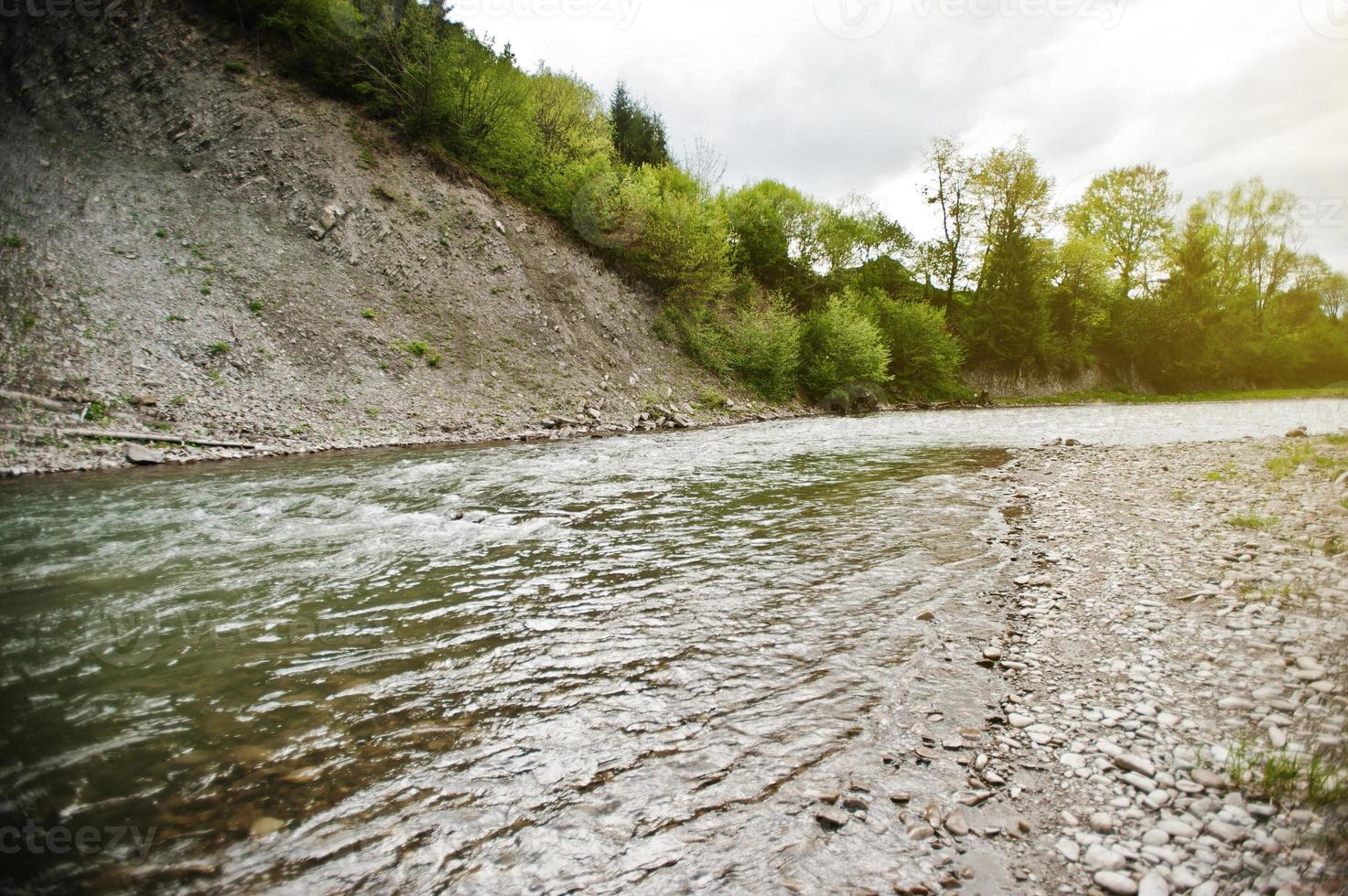 Mountain river in Carpathian mountains, Ukraine photo