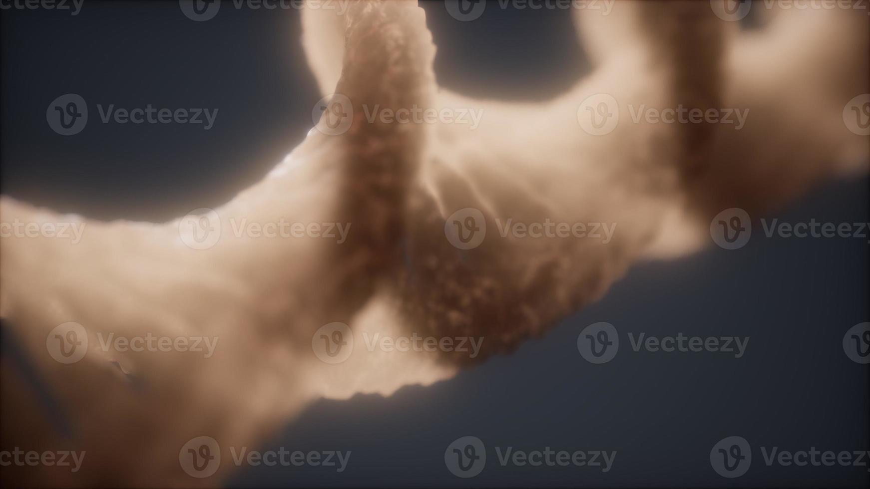 loopable structure of the DNA double helix animation photo