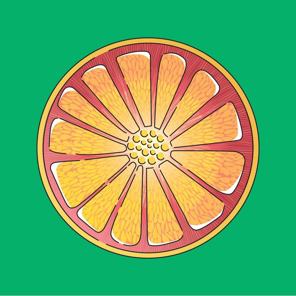 fruit orange slice vector