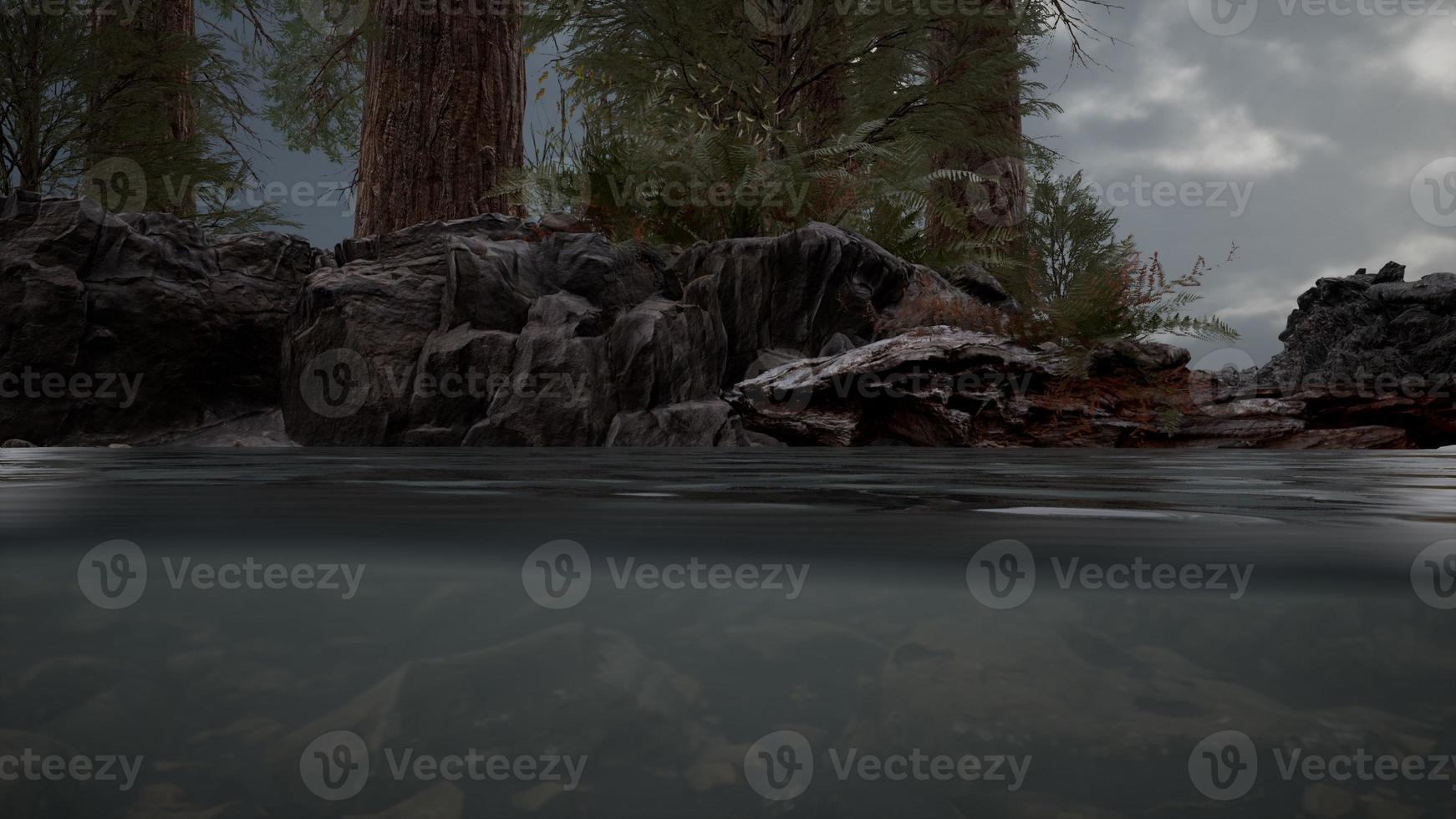 Half underwater in northern sea with rocks photo