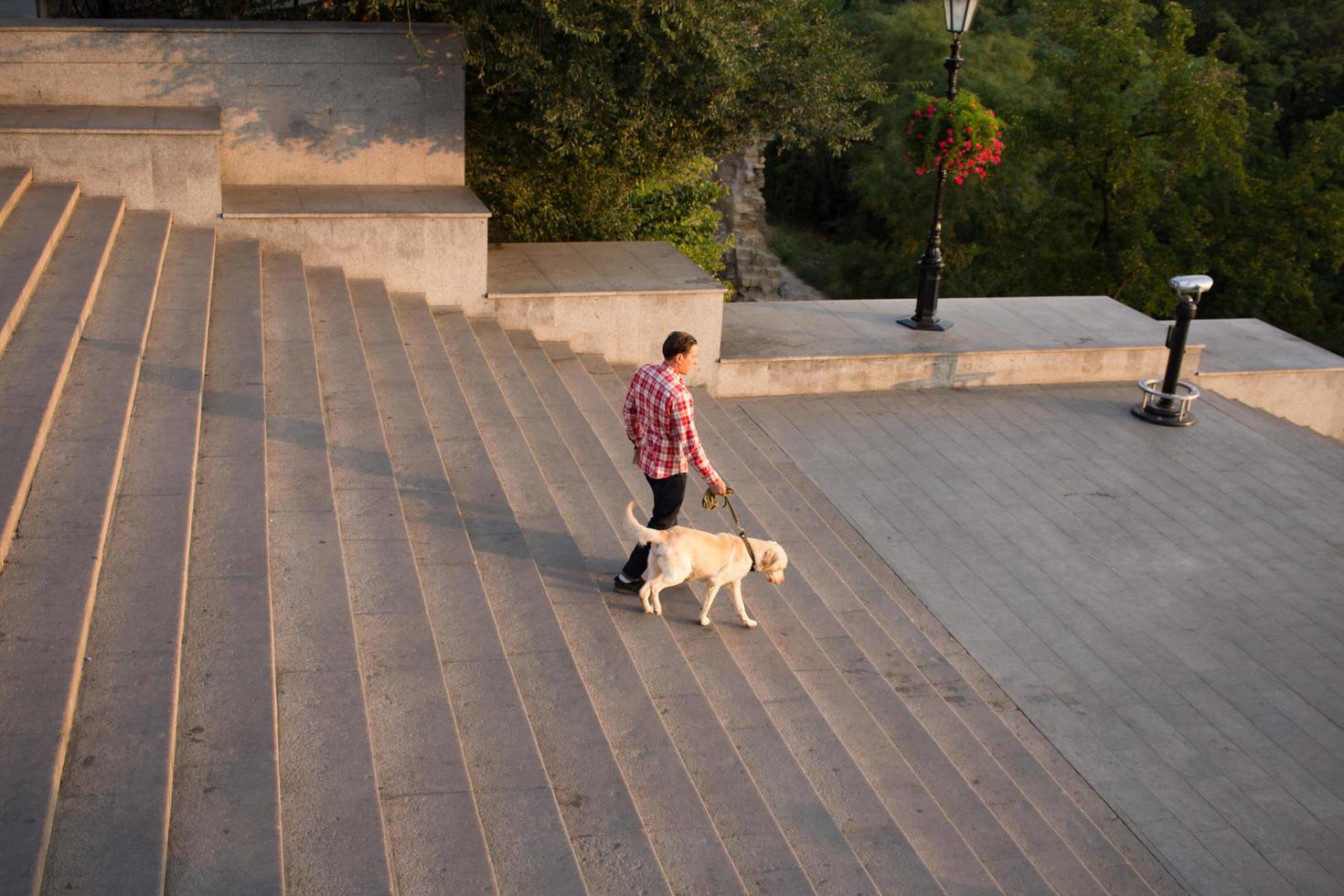 Morning walk of young male and gold labrador dog photo