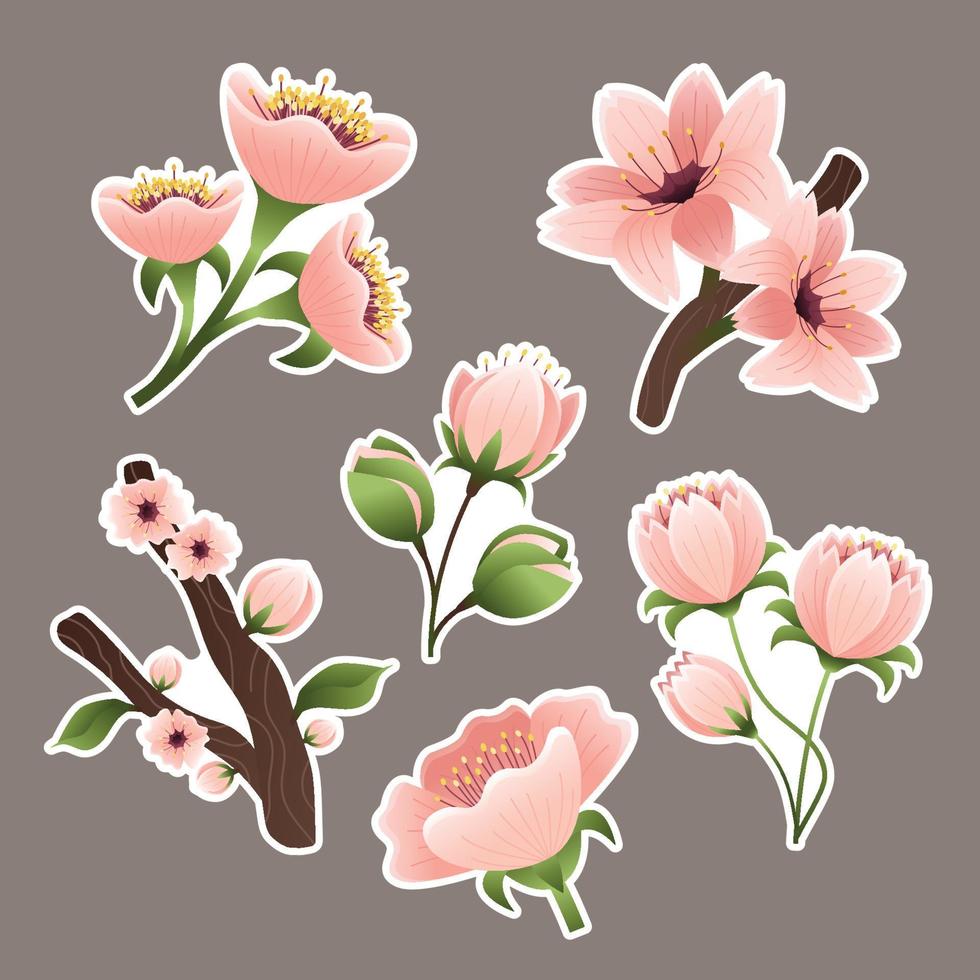 Cherry Blossom Sticker vector