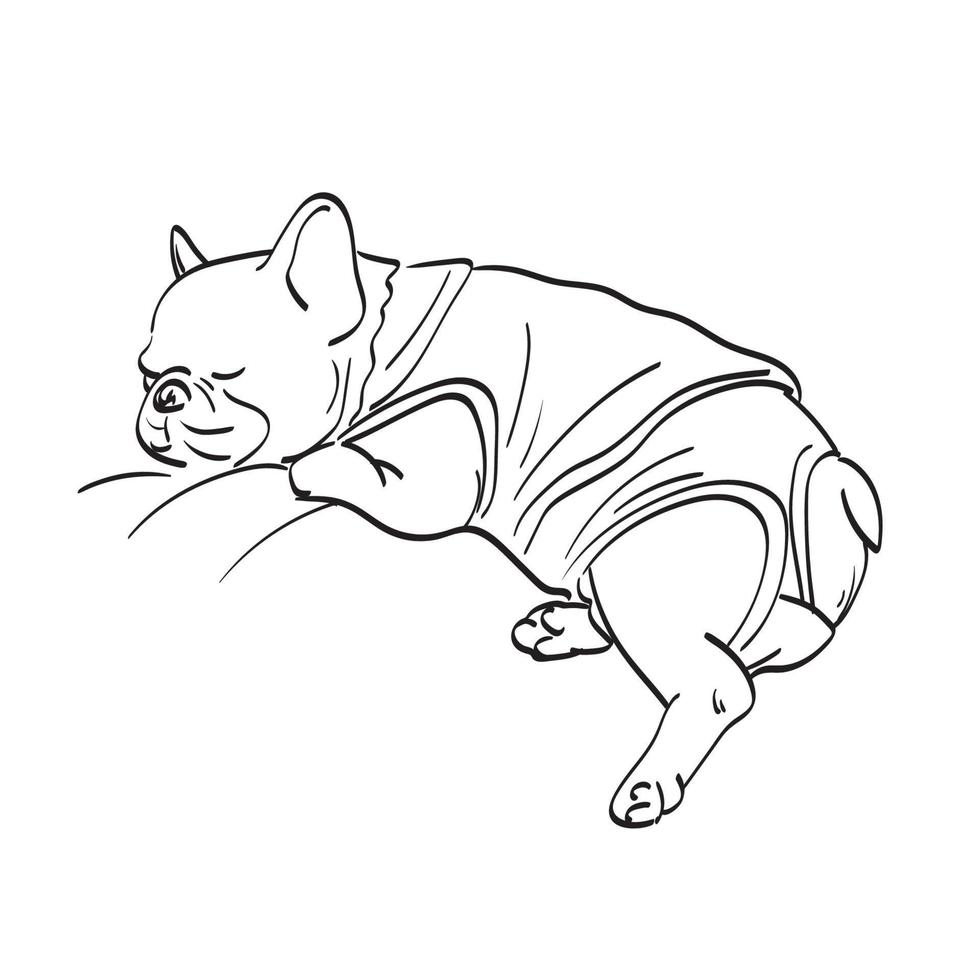 bulldog con tela durmiendo ilustración vectorial dibujado a mano aislado en el arte de línea de fondo blanco. vector