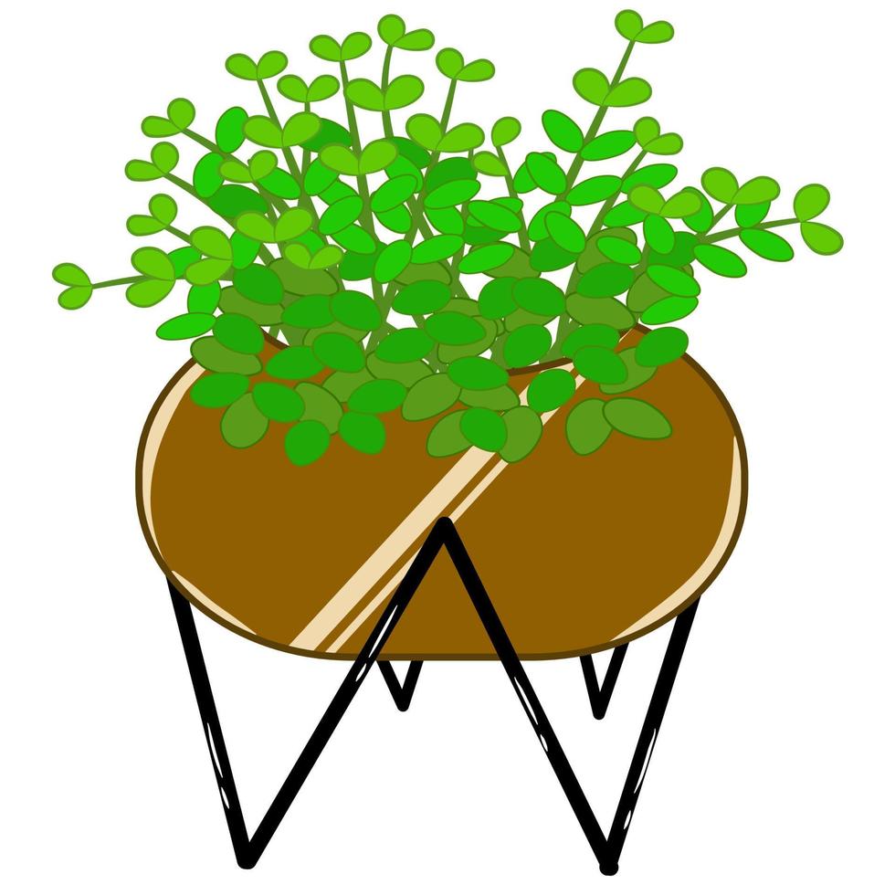 Small green plant in a pot vector