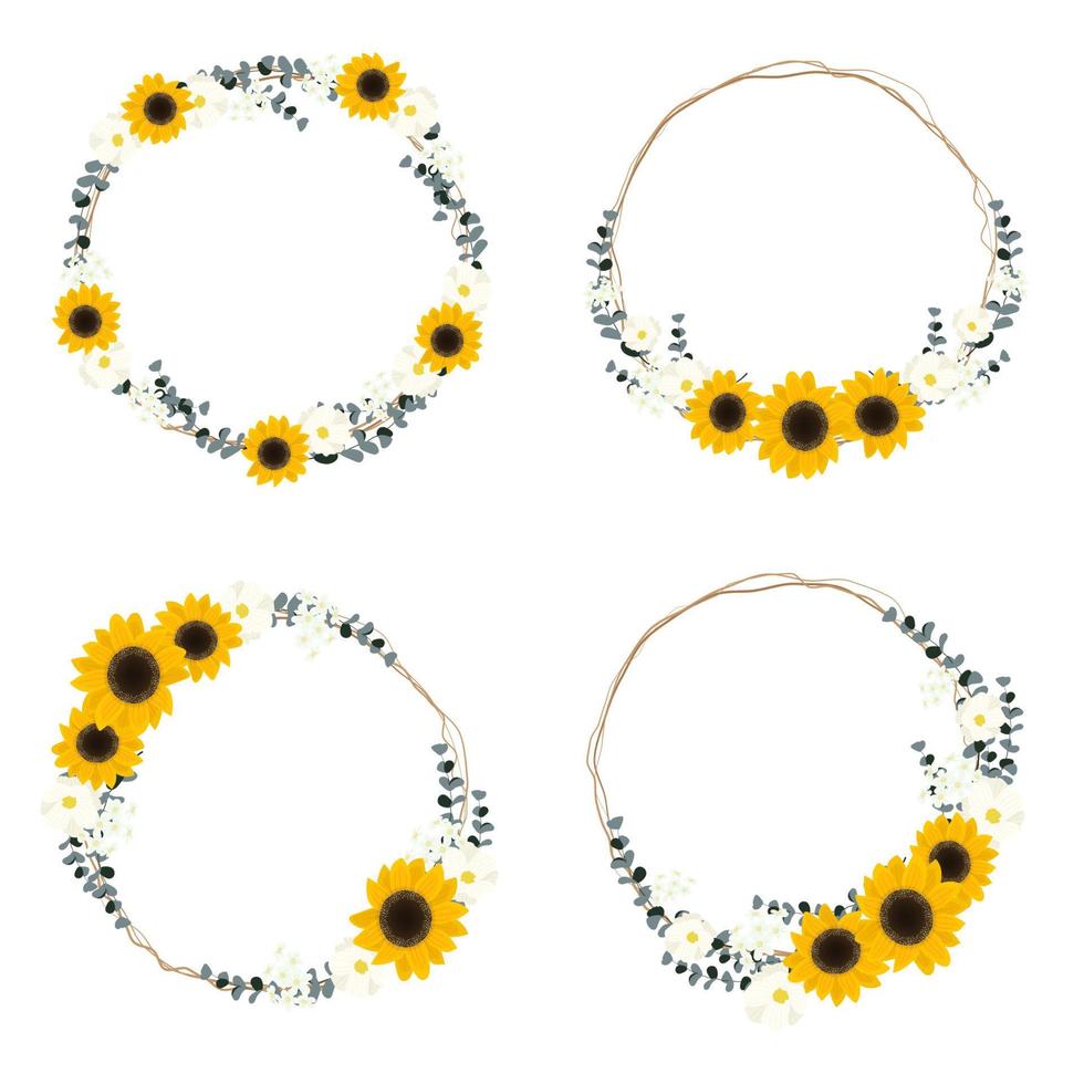 yellow sunflower wild flower and eucalyptus leaf on dry twig bouquet circle wreath frame collection flat style vector