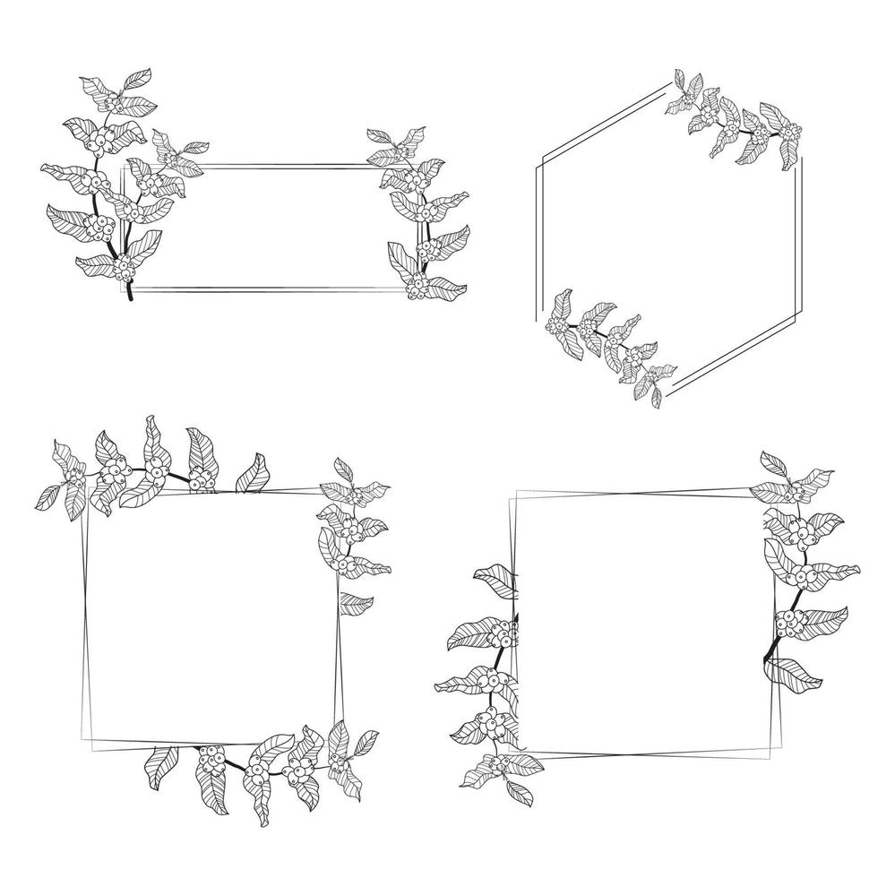 coffee tree branch wreath frame collection vector