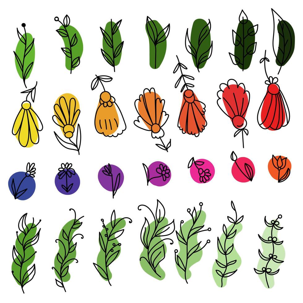 un conjunto de plantas y flores de garabatos dibujadas a mano en manchas de colores, para invitaciones de diseño, tarjetas, etc. vector