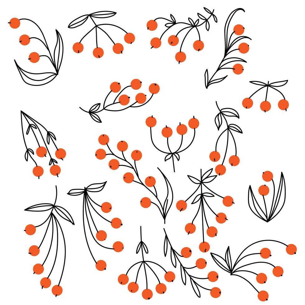 A set of various doodle berries with delicate contour leaves, twigs for the design of cards, invitations, etc. vector