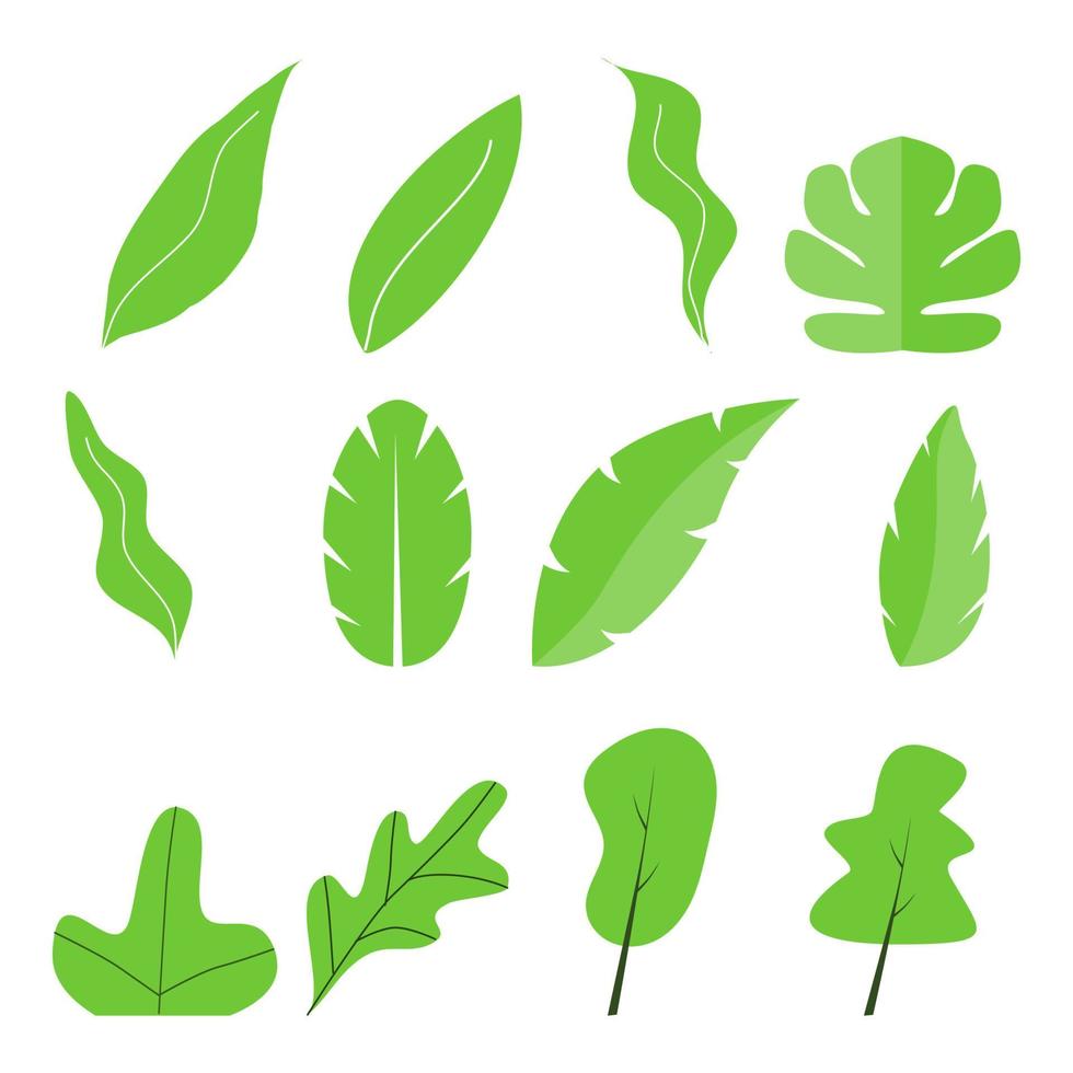 set of green leaves vector